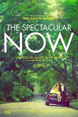 دانلود فیلم اکنون شگفت‌ انگیز The Spectacular Now 2013 دوبله فارسی