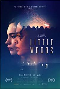 فیلم  لیتل وودز 2019 Little Woods زیرنویس فارسی چسبیده