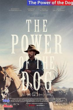 دانلود فیلم قدرت سگ The Power of the Dog 2021 زیرنویس فارسی چسبیده