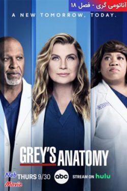 دانلود فصل هجدهم سریال Grey’s Anatomy 2021 آناتومی گری با زیرنویس فارسی چسبیده