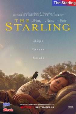 دانلود فیلم The Starling 2021 سار با زیرنویس فارسی چسبیده