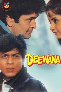 دانلود فیلم هندی دیوانه Deewana 1992 دوبله فارسی