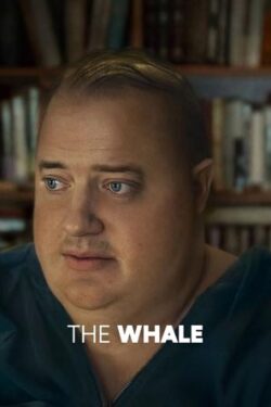 دانلود فیلم نهنگ The Whale 2023 وال زیرنویس فارسی چسبیده