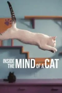 فیلم  درون ذهن یک گربه 2022 Inside the Mind of a Cat زیرنویس فارسی چسبیده