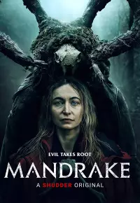 فیلم  افسونگر شب 2022 Mandrake زیرنویس فارسی چسبیده