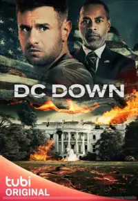 فیلم  پایین دی سی 2023 DC Down زیرنویس فارسی چسبیده