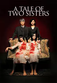 فیلم  داستان دو خواهر 2003 A Tale of Two Sisters زیرنویس فارسی چسبیده