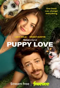 دانلود فیلم عشق توله سگ Puppy Love 2023 زیرنویس فارسی چسبیده