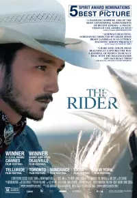 دانلود فیلم سوار The Rider 2017 زیرنویس فارسی چسبیده