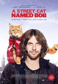 فیلم  گربه خیابانی به نام باب 2016 A Street Cat Named Bob زیرنویس فارسی چسبیده
