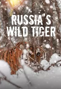 فیلم  ببر وحشی روسیه 2022 Russias Wild Tiger زیرنویس فارسی چسبیده