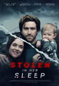 فیلم  ربوده شده در خواب 2022 Stolen in Her Sleep زیرنویس فارسی چسبیده