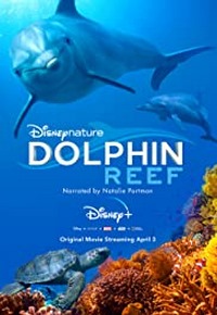 فیلم  صخره دلفین 2018 Dolphin Reef زیرنویس فارسی چسبیده