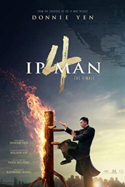 دانلود فیلم ایپ من ۴-نهایی Ip Man 4-The Finale 2019 زیرنویس فارسی چسبیده