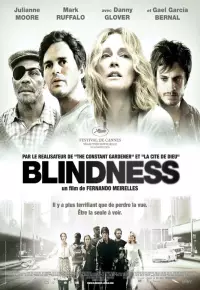فیلم  کوری 2008 Blindness زیرنویس فارسی چسبیده