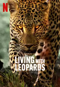 مستند زندگی با پلنگ ها Living with Leopards 2024 زیرنویس فارسی چسبیده