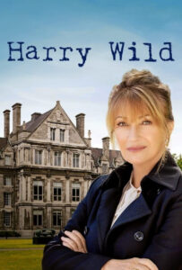 سریال  هری وایلد 2022 Harry Wild