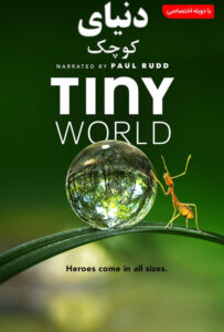 سریال  دنیای کوچک 2020 Tiny World زیرنویس فارسی چسبیده