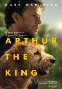 فیلم  آرتور شاه 2024 Arthur the King دوبله فارسی