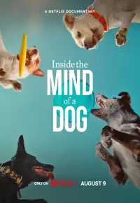 دانلود مستند درون ذهن یک سگ Inside the Mind of a Dog 2024 زیرنویس فارسی چسبیده