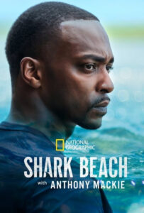 فیلم  ساحل کوسه با آنتونی مکی 2024 Shark Beach with Anthony Mackie دوبله فارسی