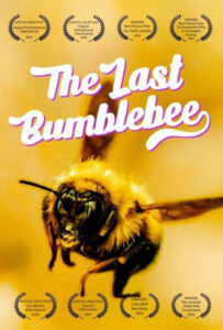 فیلم  آخرین زنبور عسل 2024 The Last Bumblebee زیرنویس فارسی چسبیده