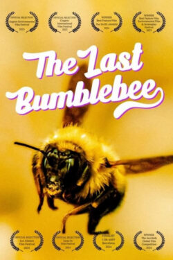 دانلود مستند آخرین زنبور عسل The Last Bumblebee 2024 زیرنویس فارسی چسبیده