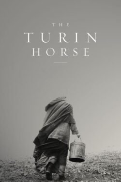 دانلود فیلم اسب تورین The Turin Horse 2011 زیرنویس فارسی چسبیده